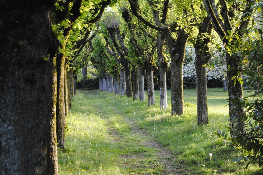 Eco-Gite - Domaine De La Gavolerie Bessé-sur-Braye Exteriör bild