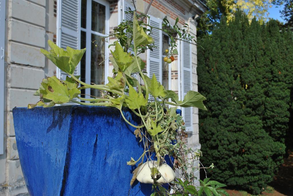 Eco-Gite - Domaine De La Gavolerie Bessé-sur-Braye Exteriör bild